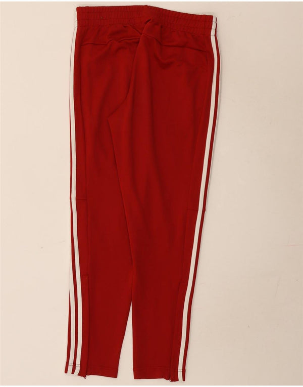 Adidas Damen Trainingshose UK 12/14 Mittelrotes Polyester