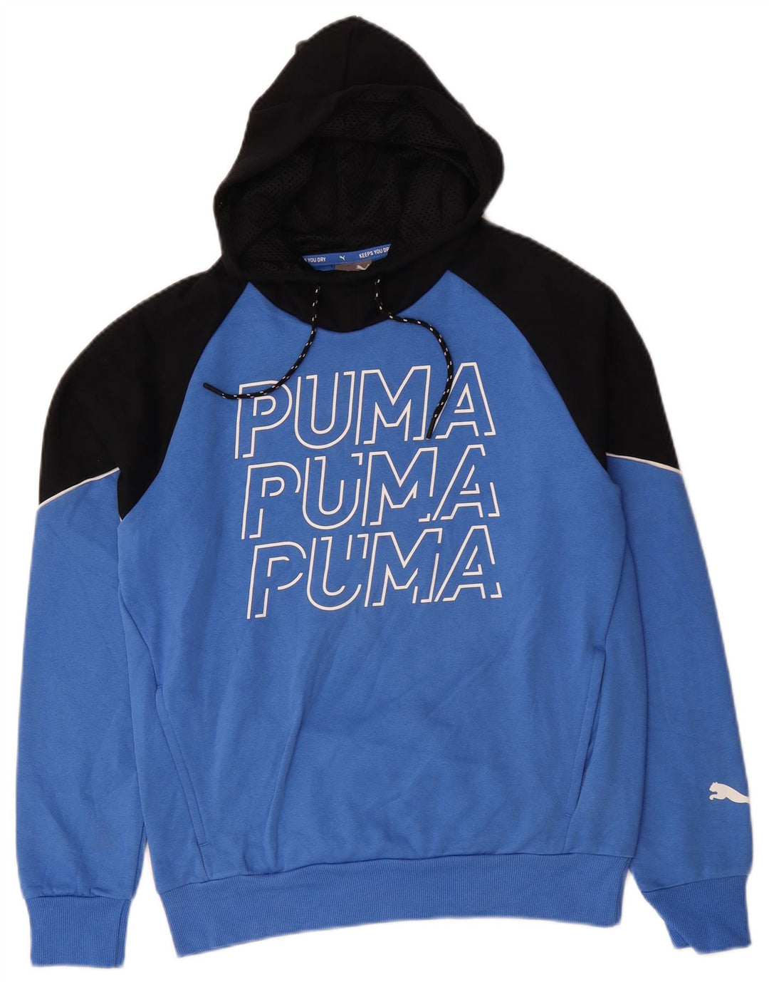 PUMA Herren Graphic Hoodie Pullover Small Blue Colourblock