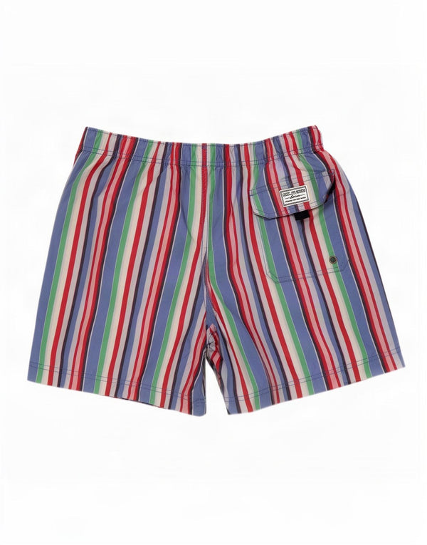 Tommy Hilfiger Herren-Badeshorts, groß, mehrfarbig, gestreift, Polyester