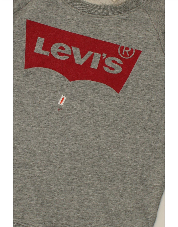 LEVI'S Womens Oversized Graphic Sweatshirt Jumper UK 10 Small Grey Cotton Vintage Levi's and Second-Hand Levi's from Messina Hembry 