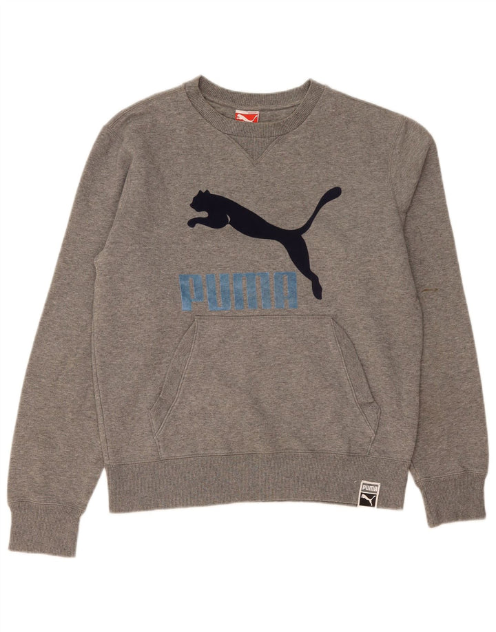 Puma Herren Grafik-Sweatshirt-Pullover Mittelgrau meliert