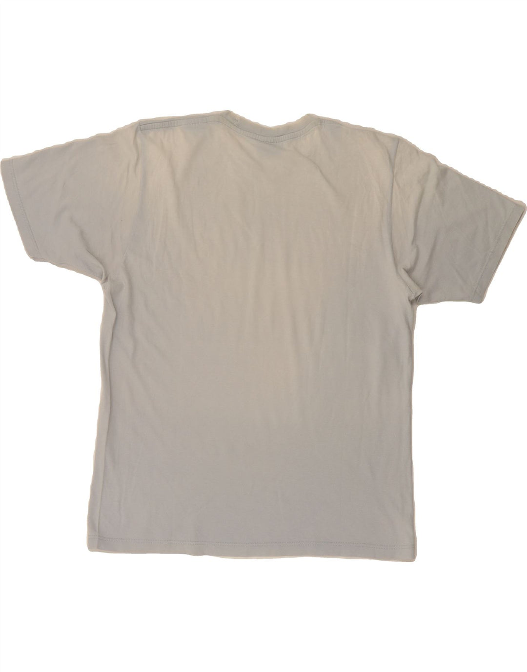 CHAMPION Mens T-Shirt Top Large Grey Cotton Vintage Champion and Second-Hand Champion from Messina Hembry 
