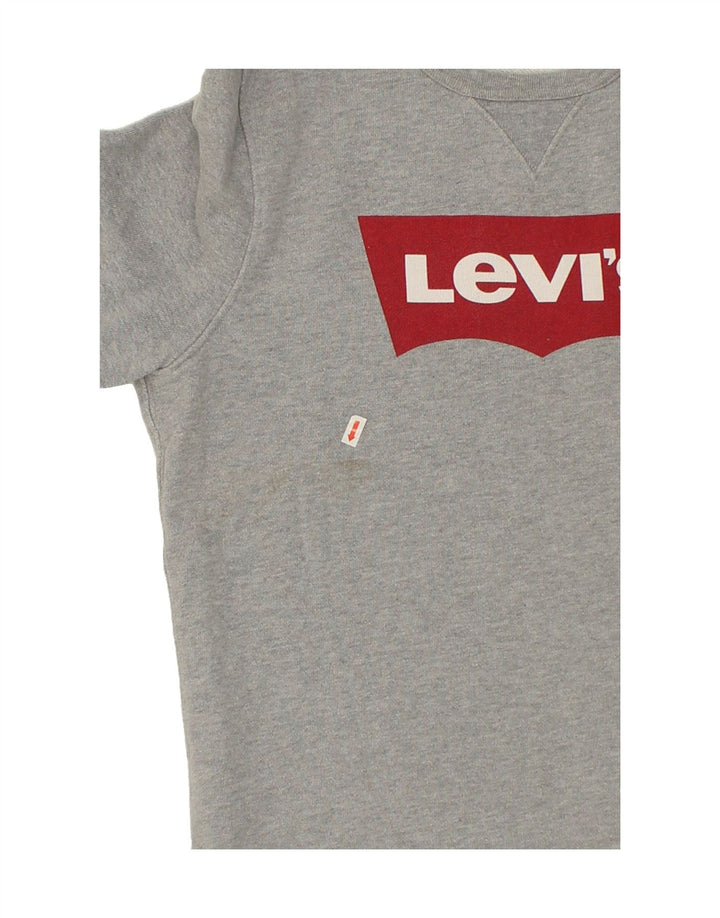 LEVI'S Mens Graphic Sweatshirt Jumper Medium Grey Cotton Vintage Levi's and Second-Hand Levi's from Messina Hembry 