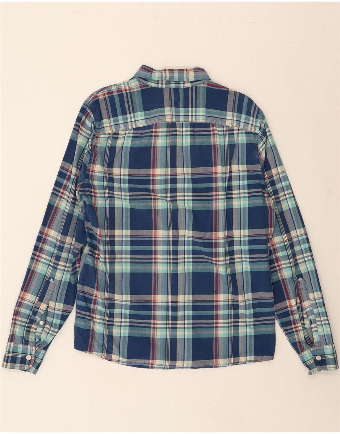 HOLLISTER Mens Shirt Large Blue Check Cotton Vintage Hollister and Second-Hand Hollister from Messina Hembry 