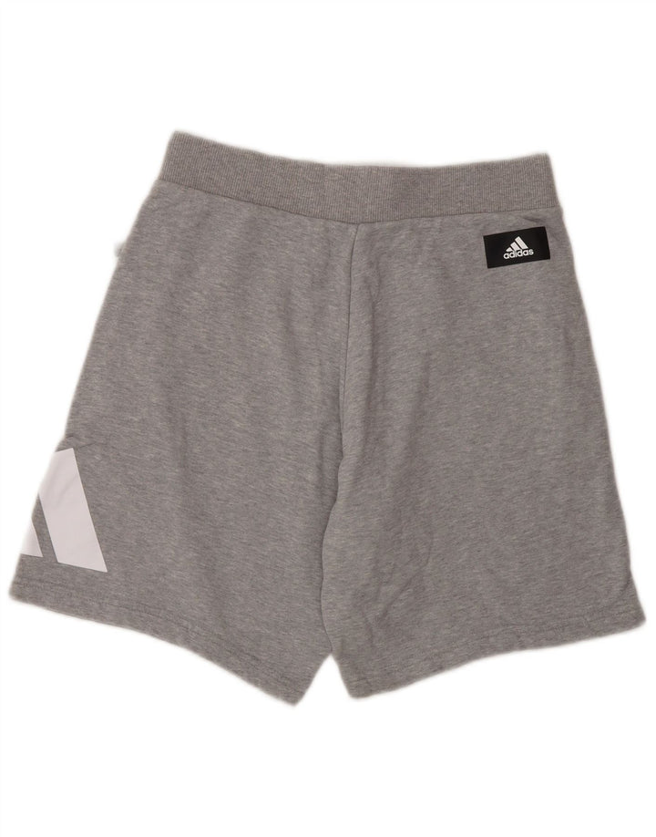 Adidas Herren Graphic Sport Shorts Small Grau