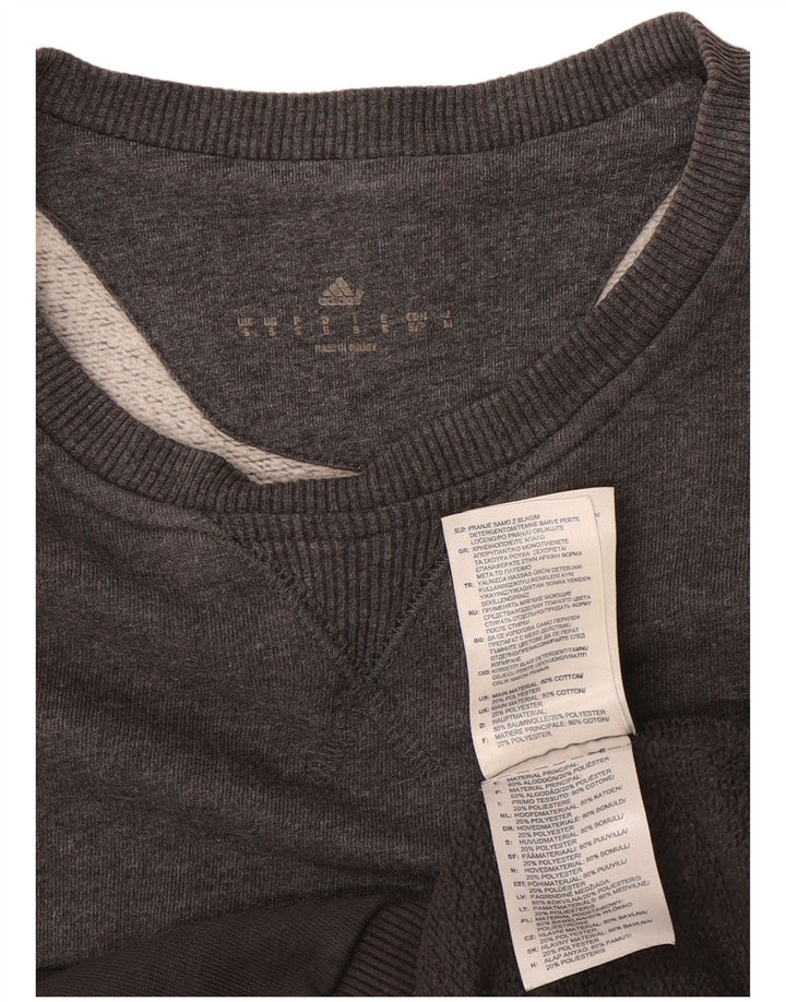 Adidas Herren Grafik-Sweatshirt-Pullover, klein, graue Baumwolle
