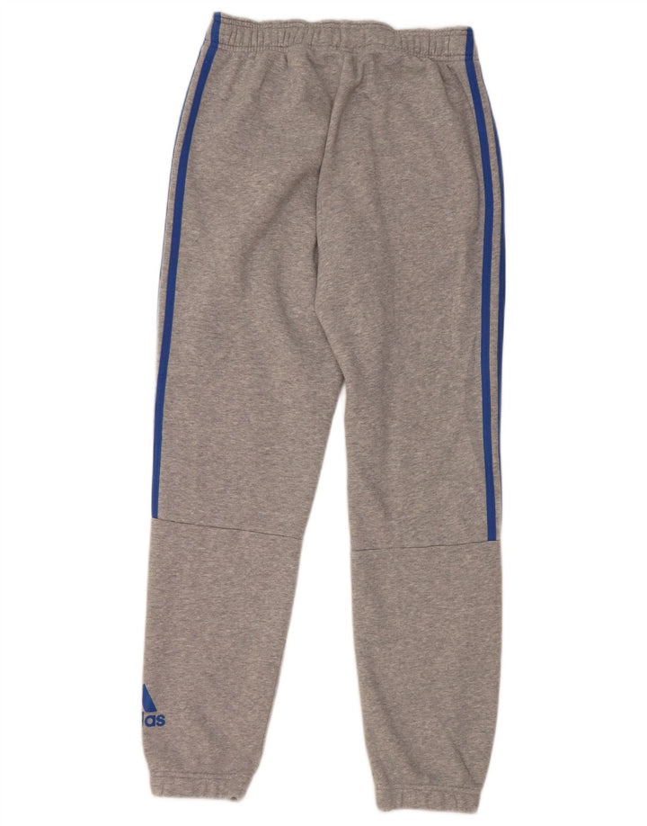 ADIDAS Herren Trainingshose Jogger Mittelgrau