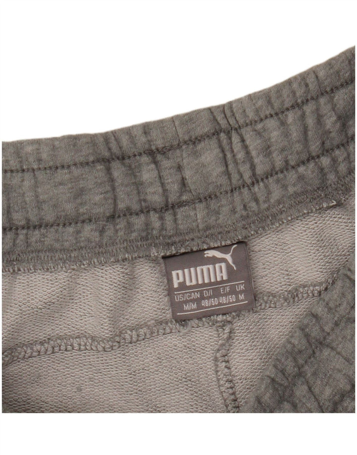 PUMA Herren Graphic Sport Shorts Mittelgrau Farbblock