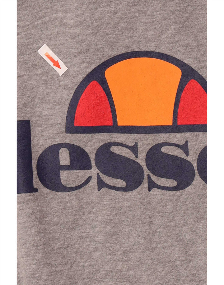 Ellesse Herren-Kapuzenpullover mit grafischer regulärer Passform, Größe S, graue Baumwolle