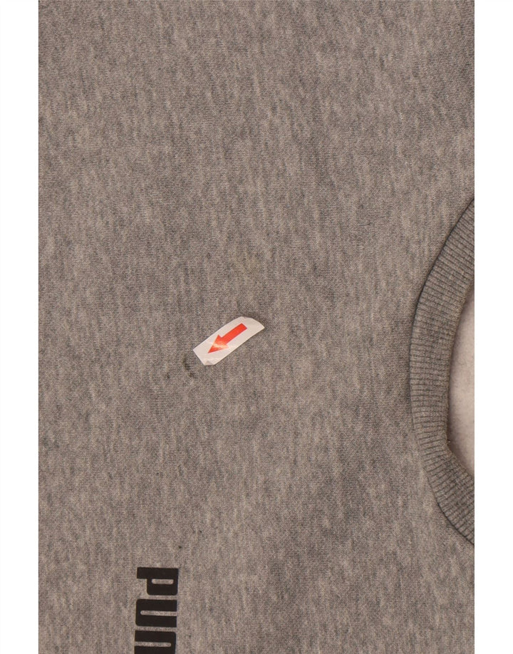 Puma Herren Sweatshirt Pullover Small Grau meliert