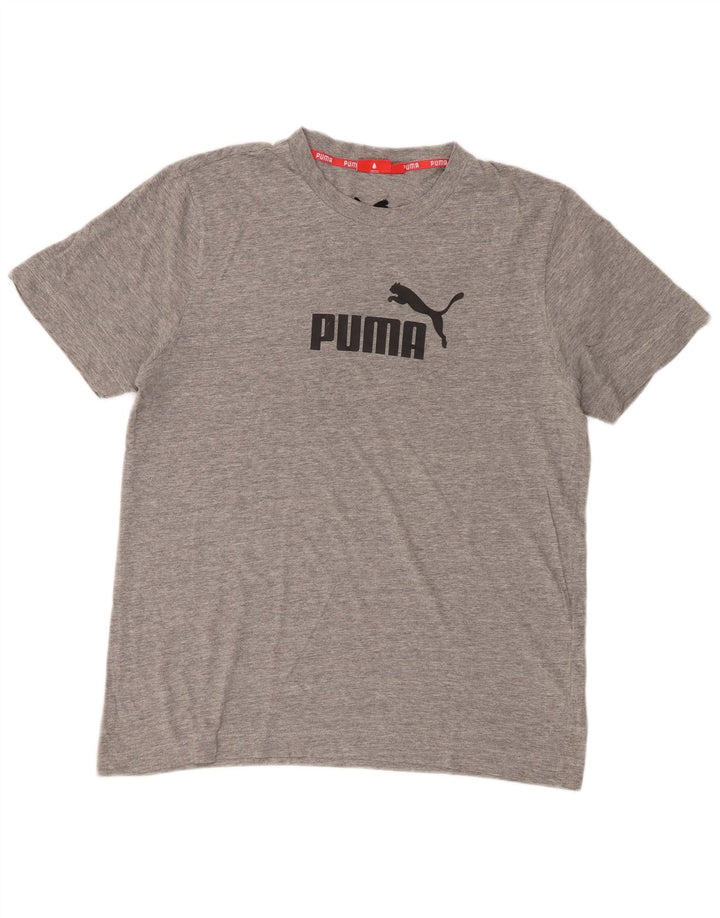 Puma Herren-T-Shirt mit Grafik, groß, aus grauer Baumwolle