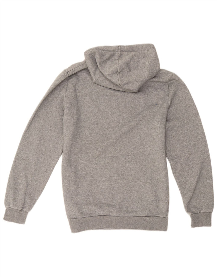 Puma Herren Graphic Hoodie Pullover Kleine graue Baumwolle
