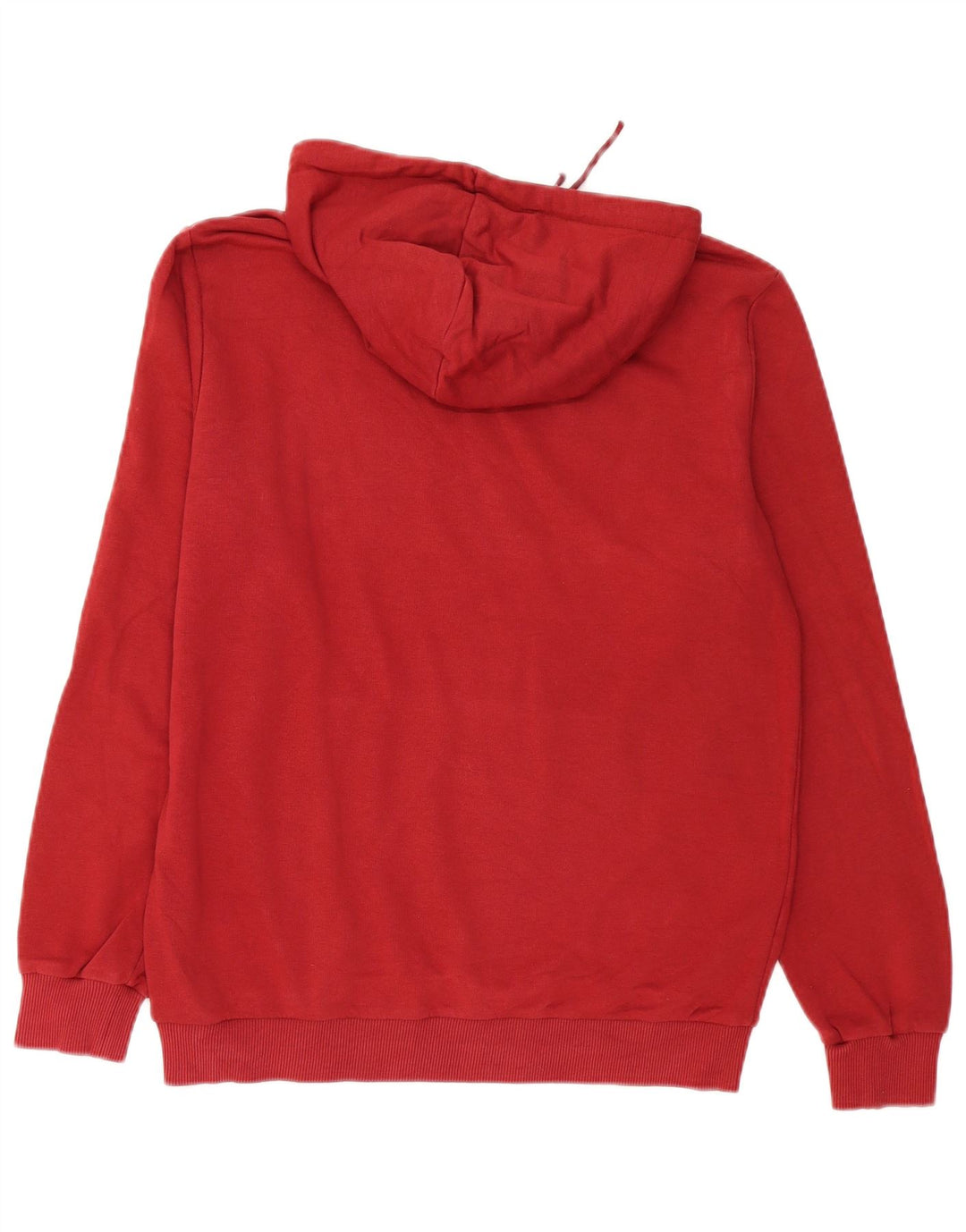 Puma Herren Graphic Hoodie Pullover Medium Burgund