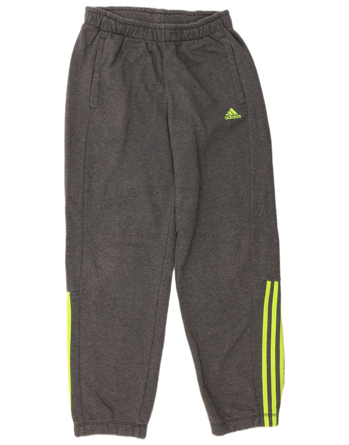 ADIDAS Herren Climalite Trainingshose Jogger mittelgraue Baumwolle