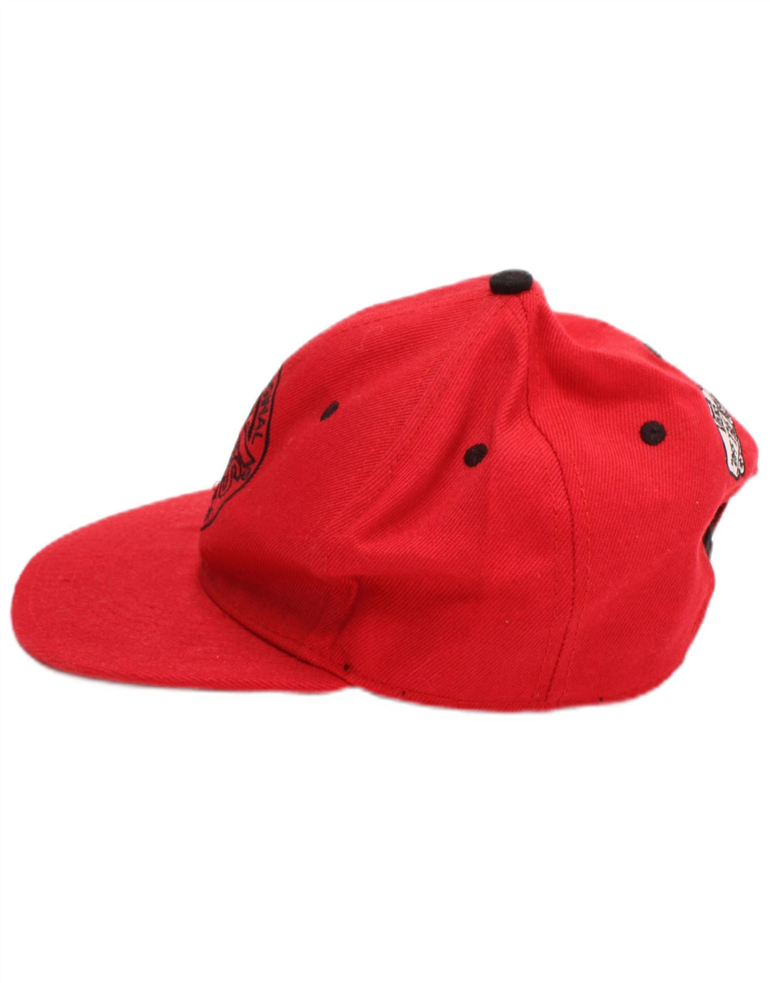 Vans Herren Graphic Snapback Cap Einheitsgröße Rot