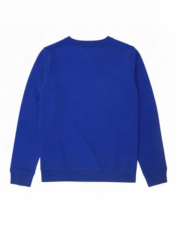Tommy Hilfiger Boys Graphic Sweatshirt Jumper 13-14 Years Blue Cotton