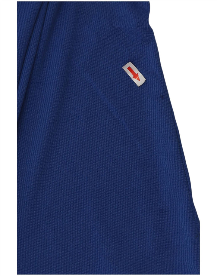 Champion Herren-Poloshirt mit Grafik, Größe L, Blau