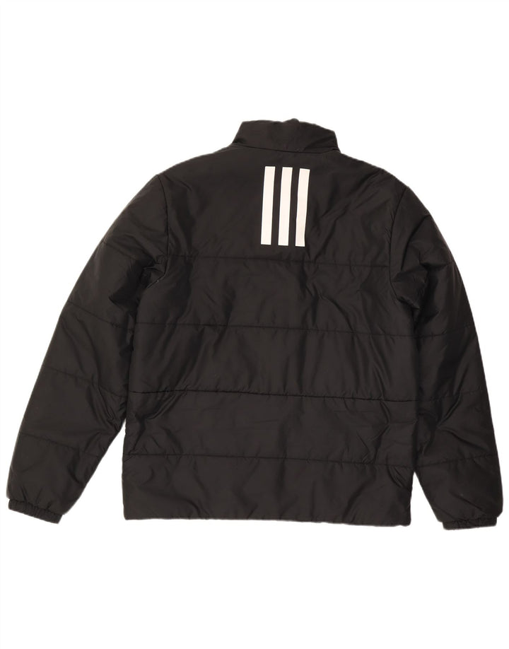 ADIDAS Herren Wattierte Jacke UK 38 Medium Schwarz Polyester