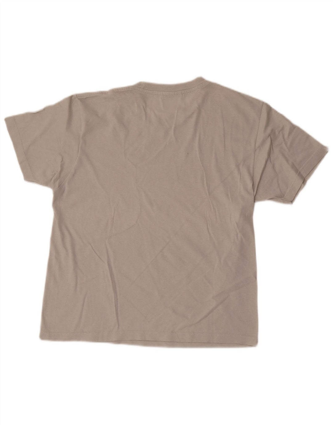 Champion Herren-T-Shirt mit Grafik, Größe S, Grau