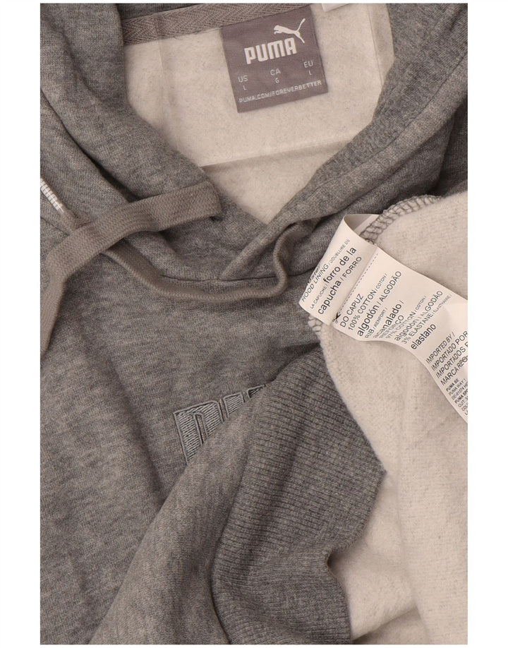 PUMA Herren Graphic Hoodie Pullover Große graue Baumwolle