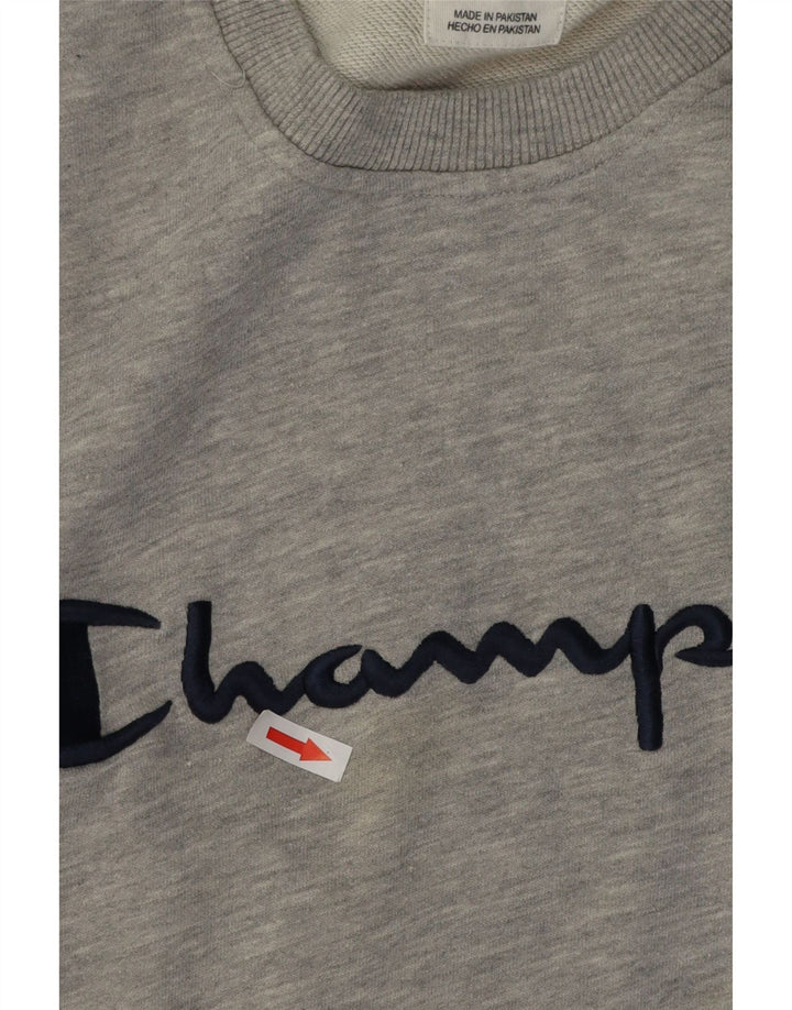 Champion Herren-Sweatshirt mit Grafik, 2XL, grau meliert, Baumwolle