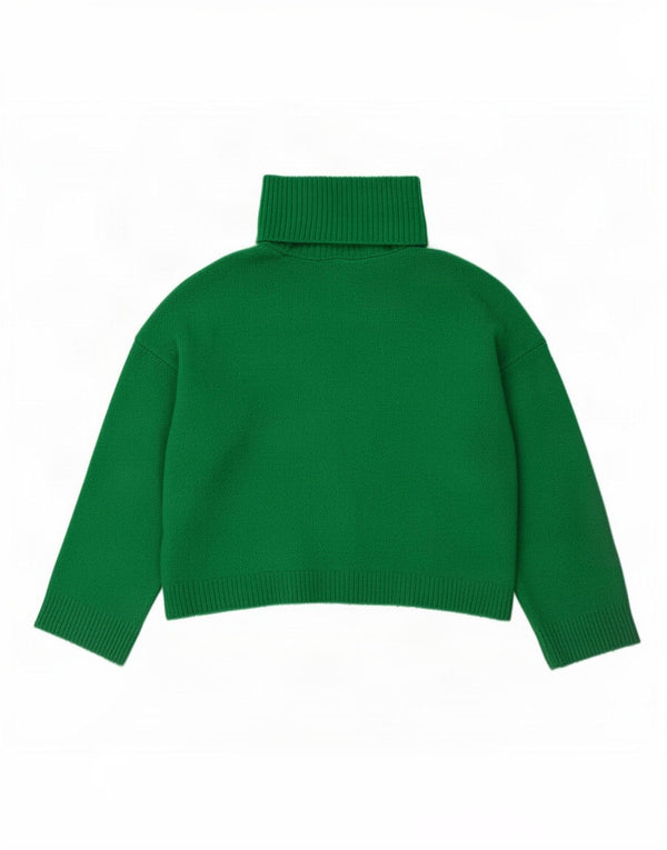 Zara Damen Crop Oversized Rollkragenpullover Pullover UK 10 Small Grün