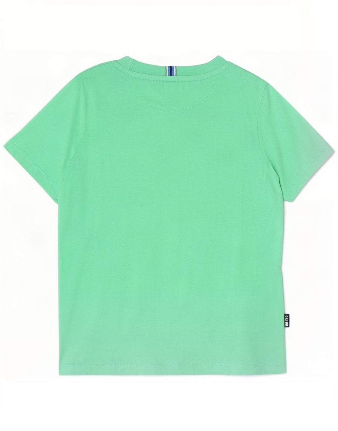 Ted Baker Jungen-T-Shirt mit Grafik, 3–4 Jahre, grüne Baumwolle
