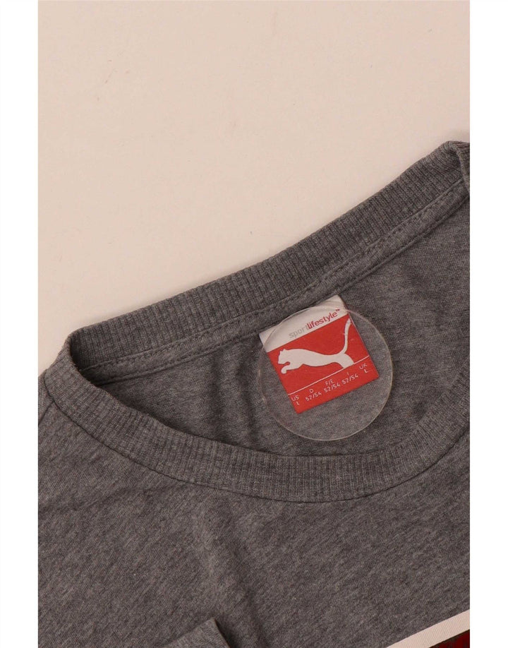 Puma Herren Grafik T-Shirt Top Large Grau