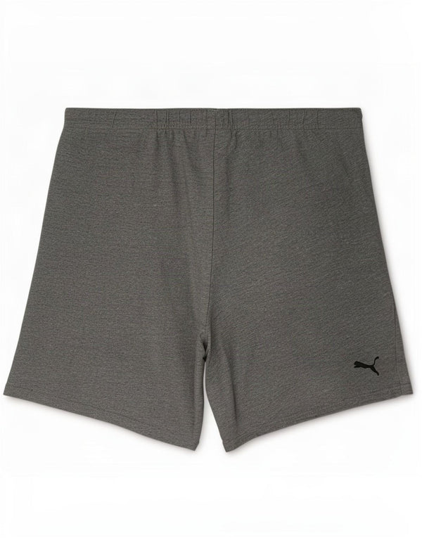 Puma Herren Graphic Sport Shorts Large Grau meliert