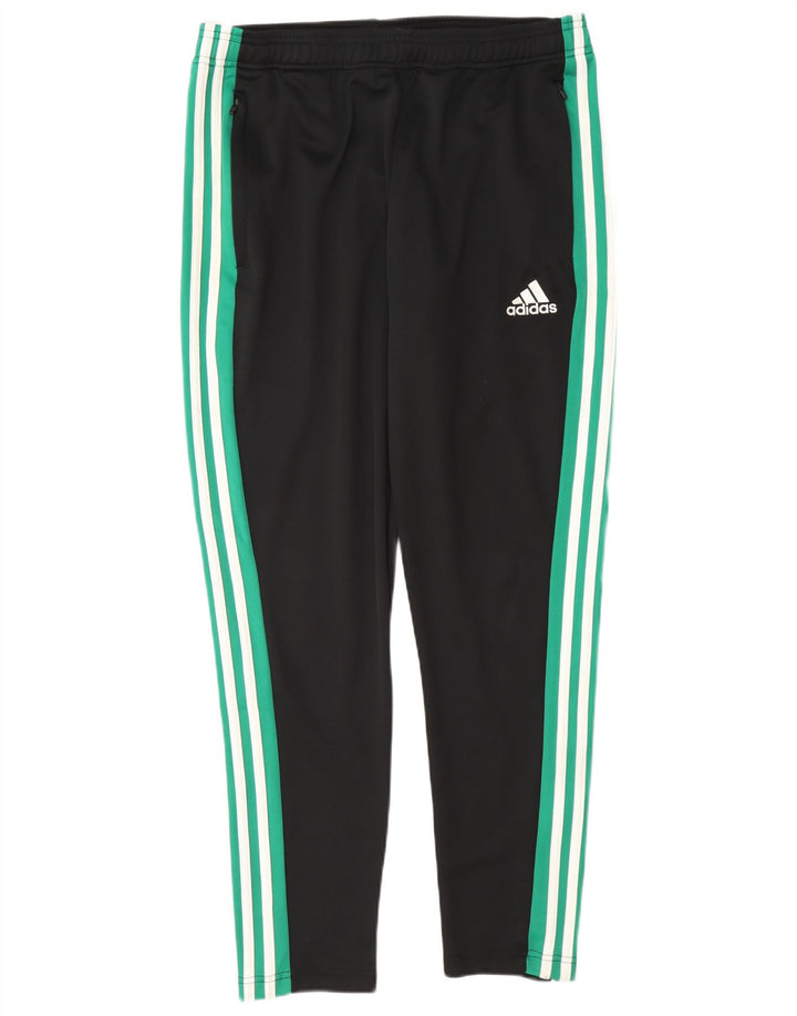 Adidas Herren Climalite-Trainingshose, groß, schwarzes Farbblock-Polyester
