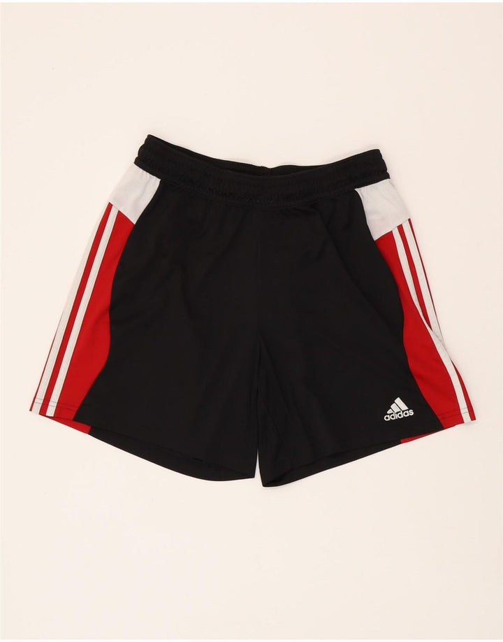 ADIDAS Damen Climacool Sport Shorts UK 16/18 Large Schwarz Colourblock