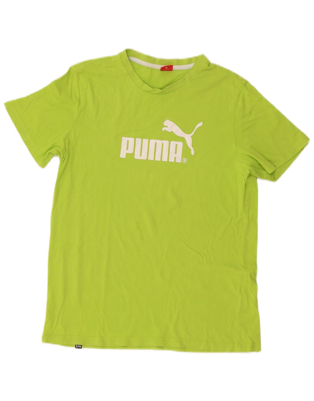 PUMA Mädchen Graphic T-Shirt Top 15–16 Jahre, grüne Baumwolle