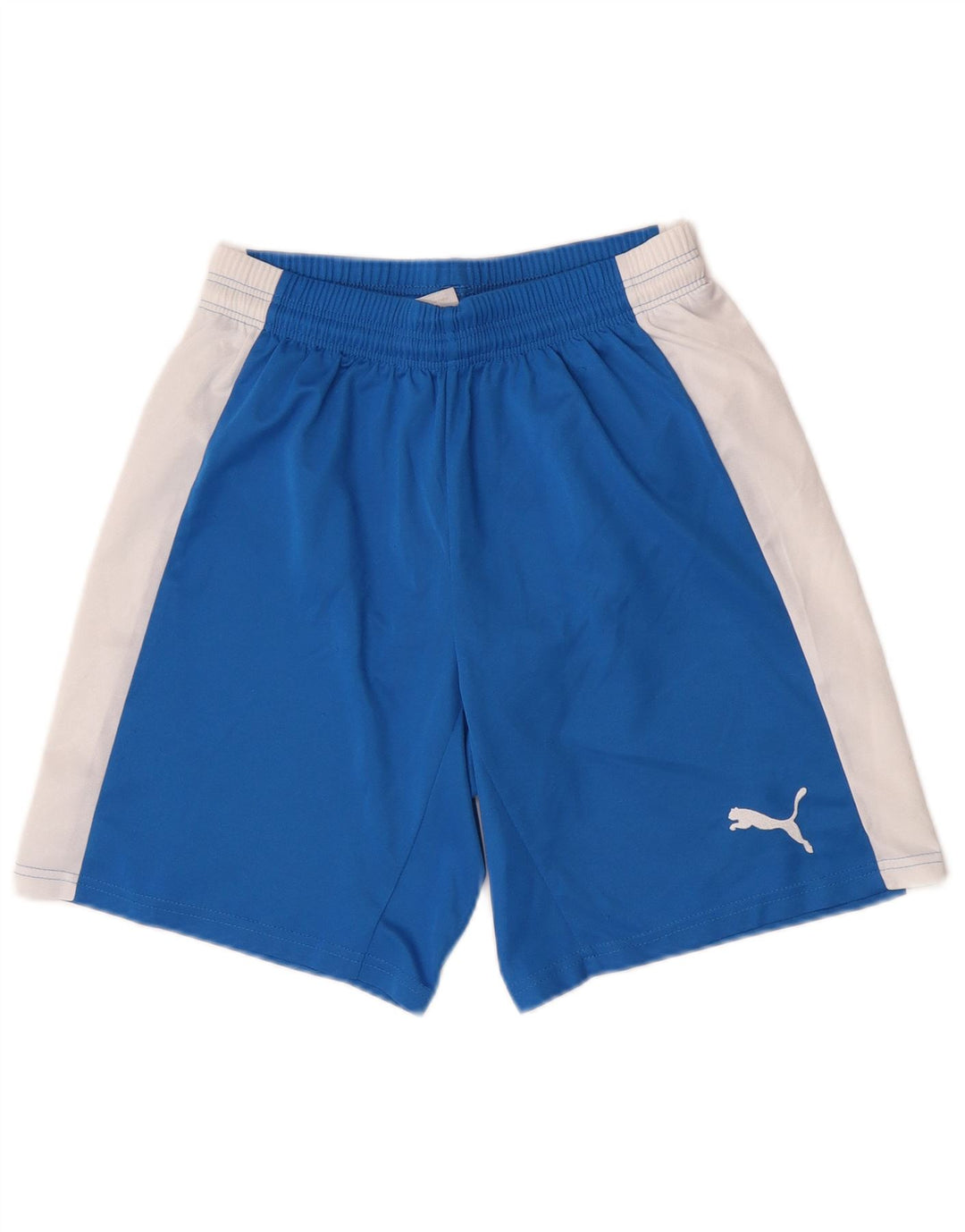 Puma Herren-Sportshorts, klein, blau, Farbblock
