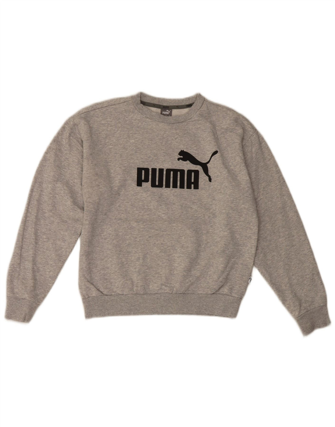 Puma Herren Grafik Sweatshirt Pullover XS Grau Baumwolle