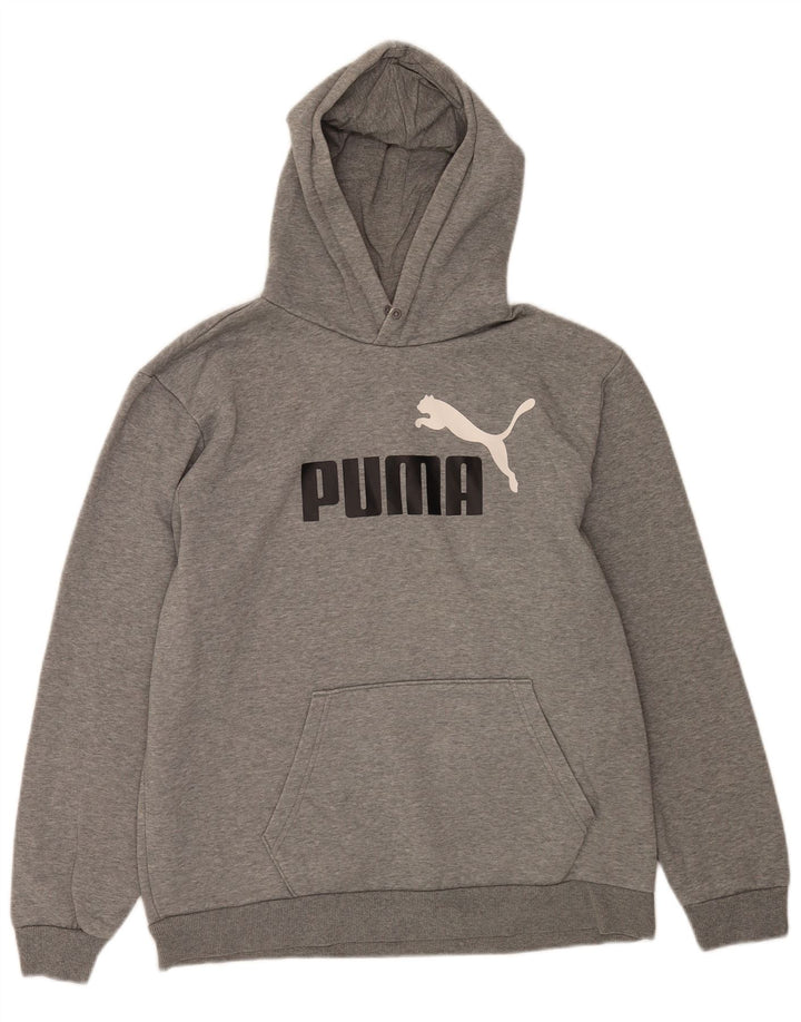 Puma Herren Graphic Hoodie Pullover Large Grau