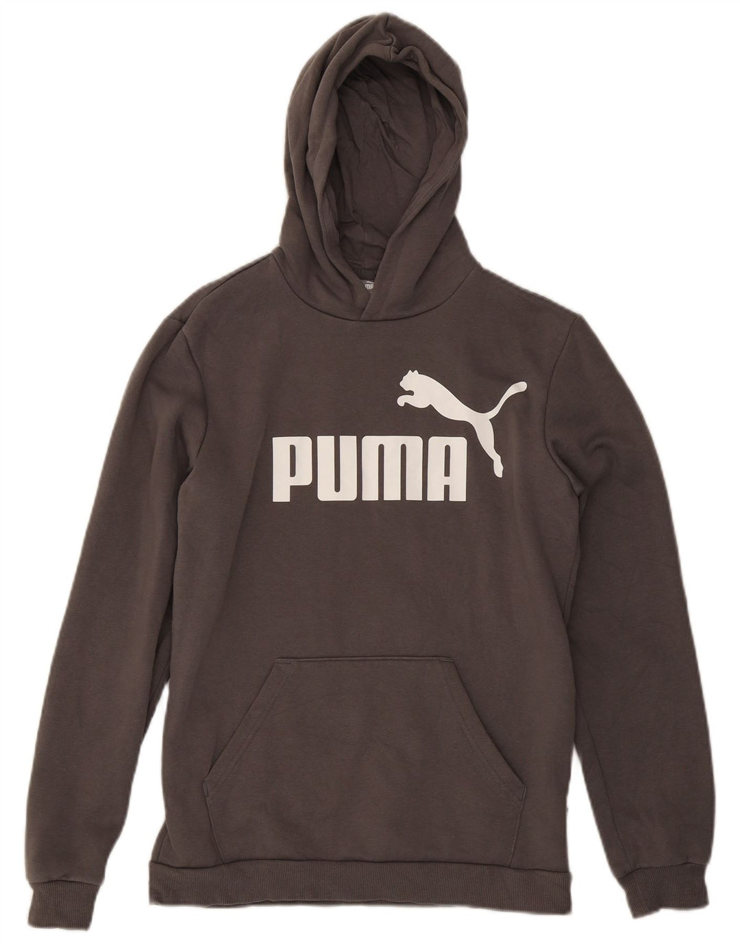 PUMA Jungen Graphic Hoodie Pullover 15–16 Jahre, graue Baumwolle