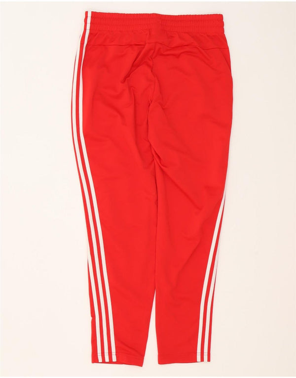 Adidas Damen Trainingshose UK 12/14 Mittelrotes Polyester