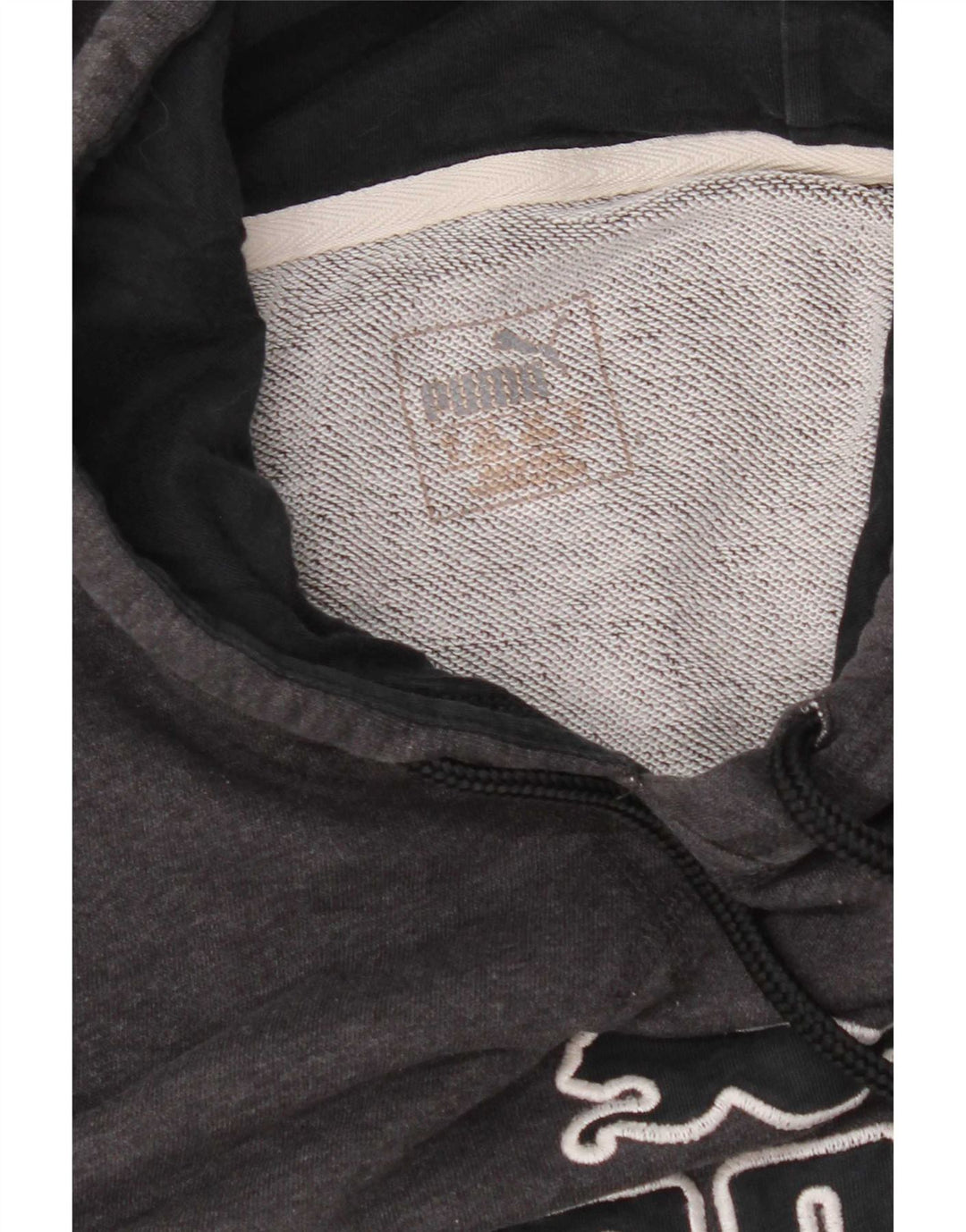 Puma Herren Graphic Hoodie Pullover Mittelgrau