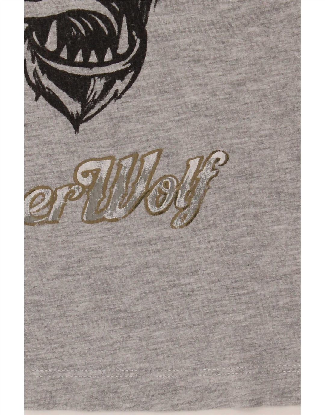 Zara Jungen T-Shirt mit Grafik, 7–8 Jahre, Grau