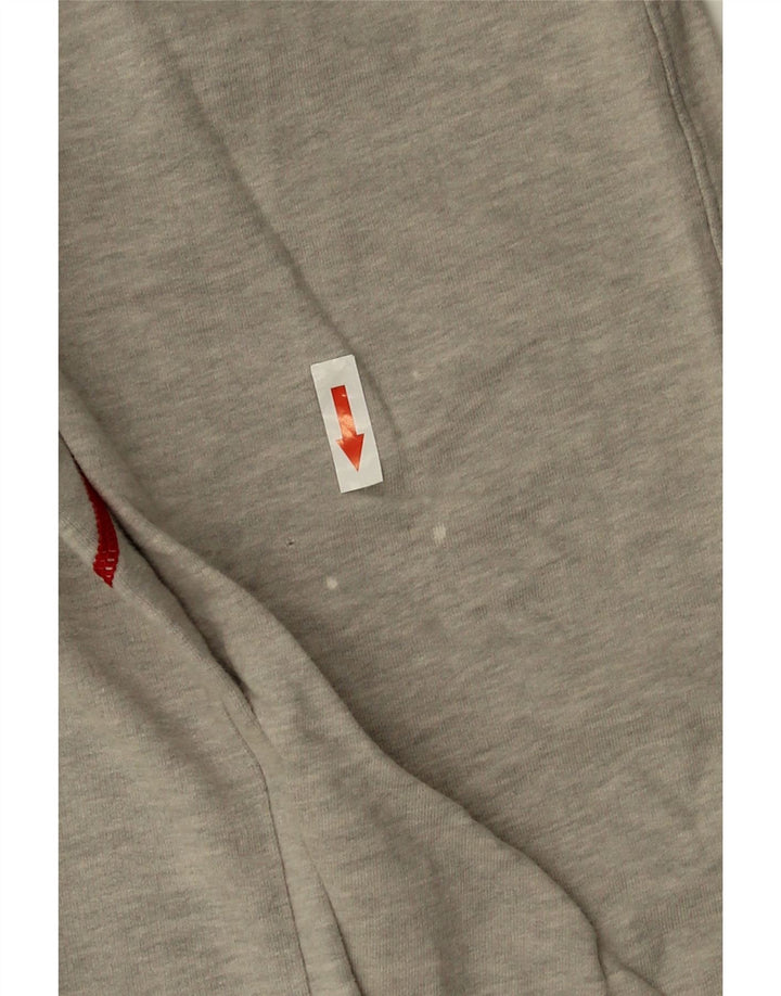 Fila Herren Grafik-Oberteil, langärmelig, groß, grau gestreift, Baumwolle