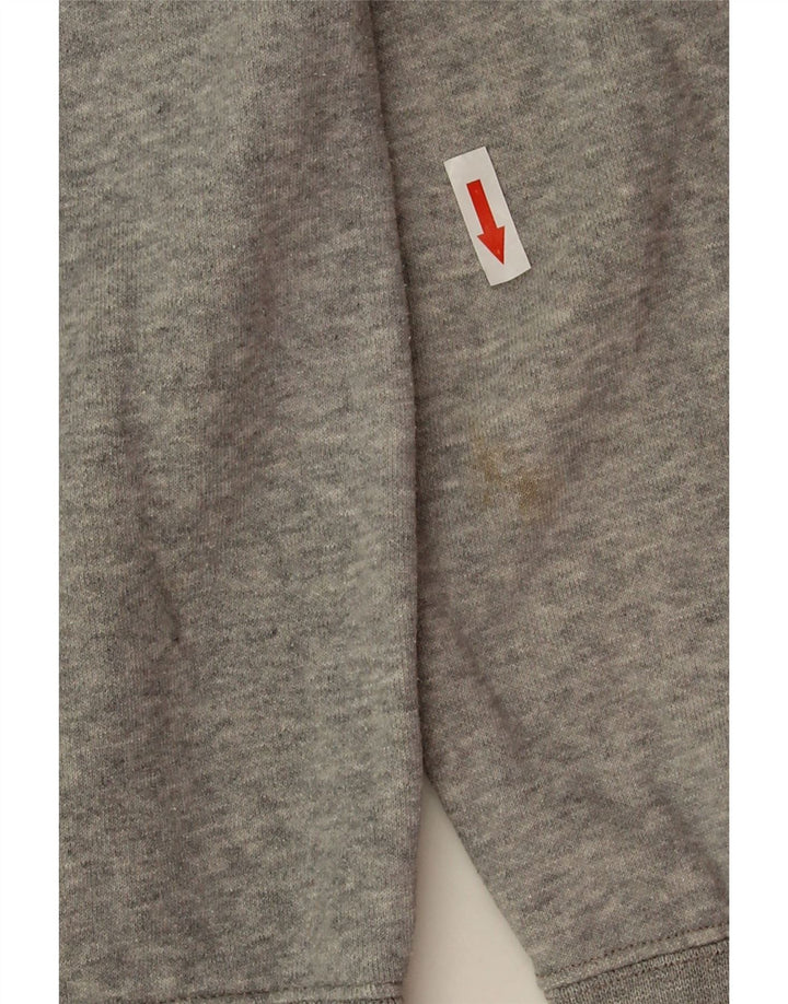 Champion Herren-Kapuzenpullover mit Grafik, mittelgrau gesprenkelte Baumwolle