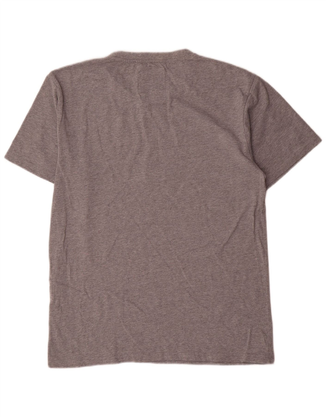 Champion Herren-T-Shirt mit Grafik, Größe L, Grau, Baumwolle