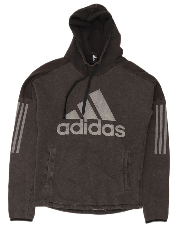 Adidas Herren Graphic Hoodie Pullover XS Grau Colourblock Baumwolle