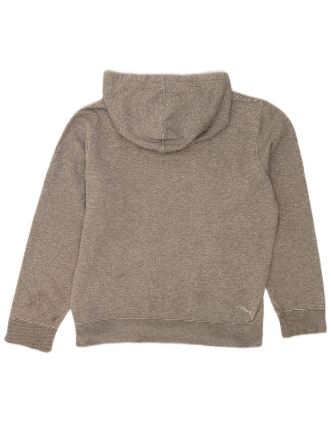 Puma Herren Graphic Hoodie Pullover Small Grau meliert