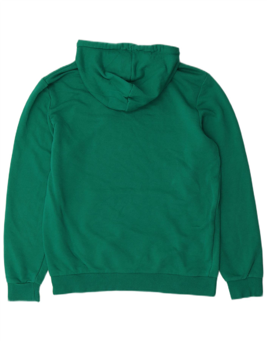 PUMA Herren Graphic Hoodie Pullover Mittelgrün