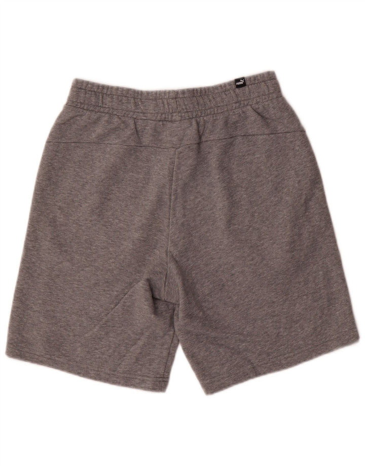 Puma Herren Sport Shorts Small Grau meliert