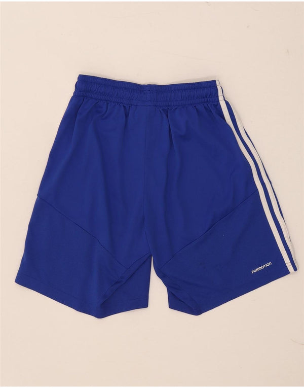 Adidas Herren Climacool Graphic Sport Shorts Small Blau Polyester