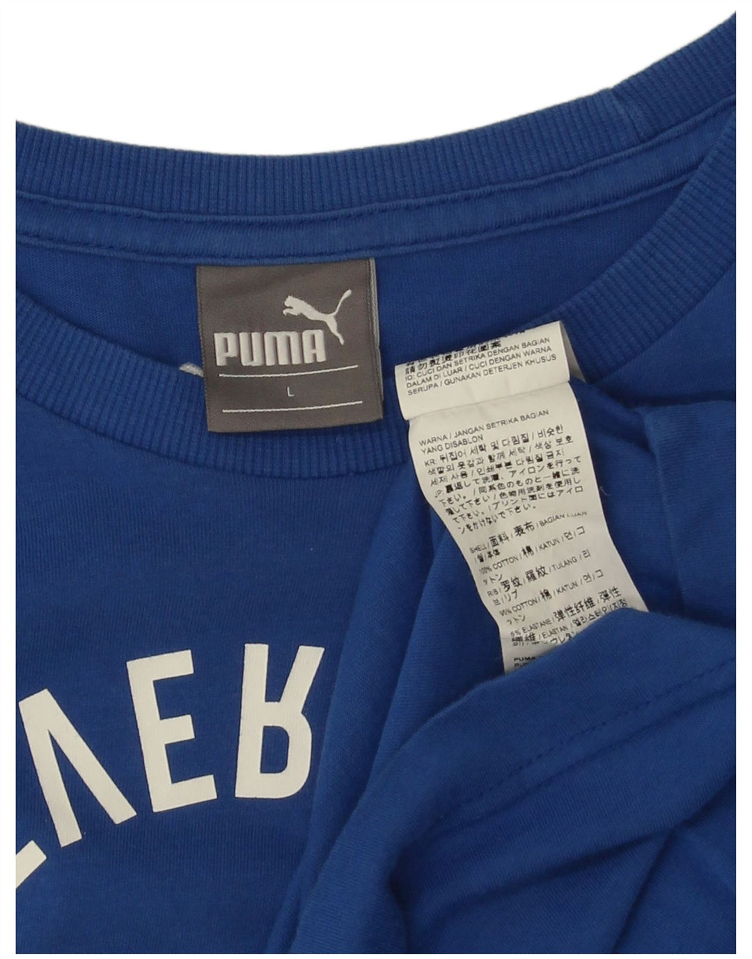 Puma Herren-T-Shirt mit Grafik, groß, aus blauer Baumwolle