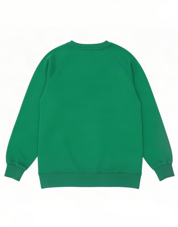 Tommy Hilfiger Herren-Sweatshirt mit Grafik, Größe S, grüne Baumwolle