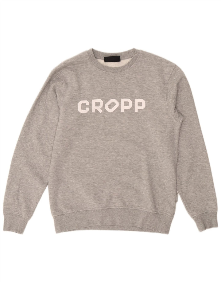 Cropp Herren-Sweatshirt mit grafischer regulärer Passform, Größe S, Grau, Baumwolle